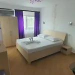 Guest house Pensiunea Casa Beatrice 3*