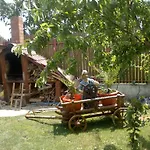 Pensiunea Casa Beatrice Guest house 3*