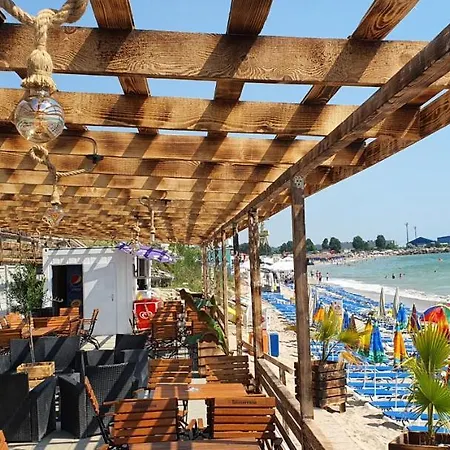 Casa de hóspedes Pensiunea Casa Beatrice