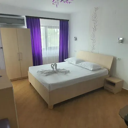 Guest house Pensiunea Casa Beatrice *