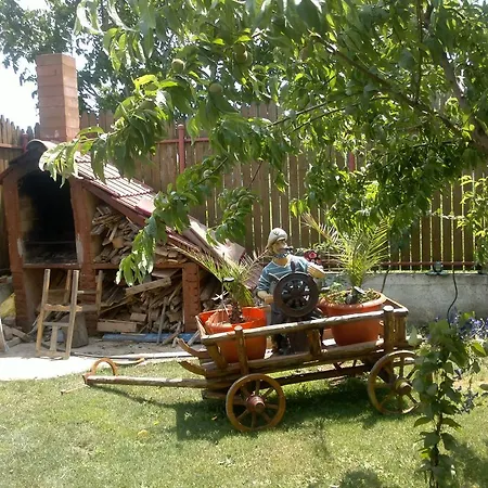 Pensiunea Casa Beatrice בית הארחה 3*